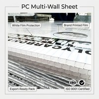 Panneau en polycarbonate pour serre à double paroi, diffuseur, 80 microns, anti-UV, 8 mm, 10 mm, pour pépinière commerciale