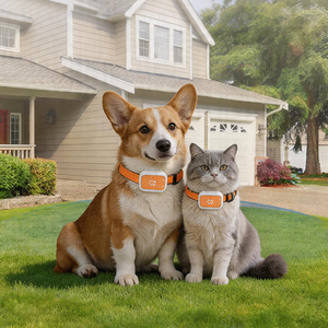 Traceur GPS pour chat et <span class=keywords><strong>chien</strong></span> avec positionnement multi-technologies BeiDou GPS AGPS WiFi LBS, suivi de localisation en temps réel, collier étanche - Product Image 5