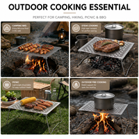 Grille de barbecue en titane pur, support de table pliable pour le camping, ustensiles de cuisine ultralégers pour pique-nique en plein air, équipement de camping en titane