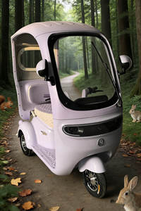 Triciclo Eléctrico Abierto de 351-500W y 60V (Aprobado por DOT), Autonomía de 50-70km, Cómodo para 2 Pasajeros, Ideal para Explorar Ciudades Costeras y Jardines de Té - Product Image 5
