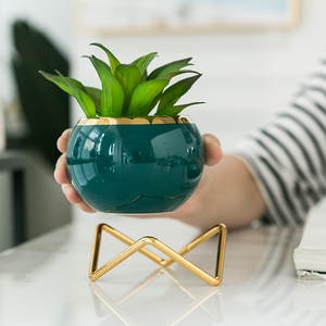 Creatividad Plantas suculentas Macetas Mini Hielo Grieta Esmalte Cerámica Maceta Jardín Hogar <span class=keywords><strong>Zakka</strong></span> Decoración Artesanía Maceta - Product Image 5
