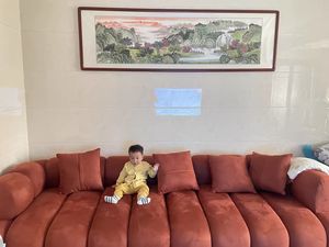 مجموعة مقطعية حديثة من الفولاذ المقاوم للصدأ شقة جديدة كبيرة/صغيرة قماش قابل للإزالة لغرفة المعيشة تكنولوجيا جديدة - Product Image 5