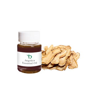 Óleo de Raiz de <span class=keywords><strong>Angelica</strong></span> Chinesa (Danggui) 100% Puro e Orgânico - Óleo Essencial Natural de <span class=keywords><strong>Angelica</strong></span> <span class=keywords><strong>Sinensis</strong></span> para Compra em Atacado - Product Image 6