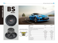 2025 nouveauté pas cher 10 & 12 pouces Woofer Subwoofer haut-parleur Max Power1200W acier panier voiture passif Subwoofer BS-1013