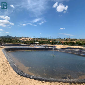 Gran oferta, membrana de revestimiento de lavabo de agua de lluvia de 1mm de espesor, Geomembrana impermeabilizante para estanque de cultivo, granja de peces, presa de Lago Artificial - Product Image 3