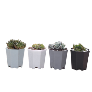 Wholesale Modern Tall <b>Square</b> White Plastic Plant <b>Pots</b> for Indoor Office Decor Verified Manufacturer Plastic Vietnam - Product Image 1