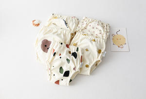 Pantalones de Entrenamiento de Algodón con Múltiples Diseños en Stock, Bajo MOQ, Fuertemente Absorbentes, Ropa Interior de Entrenamiento para Ir al Baño para Bebés Niños y Niñas - Product Image 4