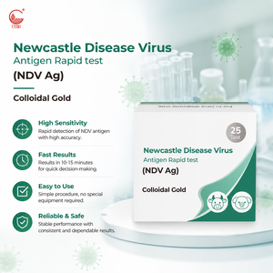 Kit de Prueba Rápida de Antígeno del Virus de la Enfermedad de Newcastle (NDV) para Pollo, Pato, Ganso, Paloma, Diagnóstico In Situ con Hisopo Cloacal, OEM ODM - Product Image 1