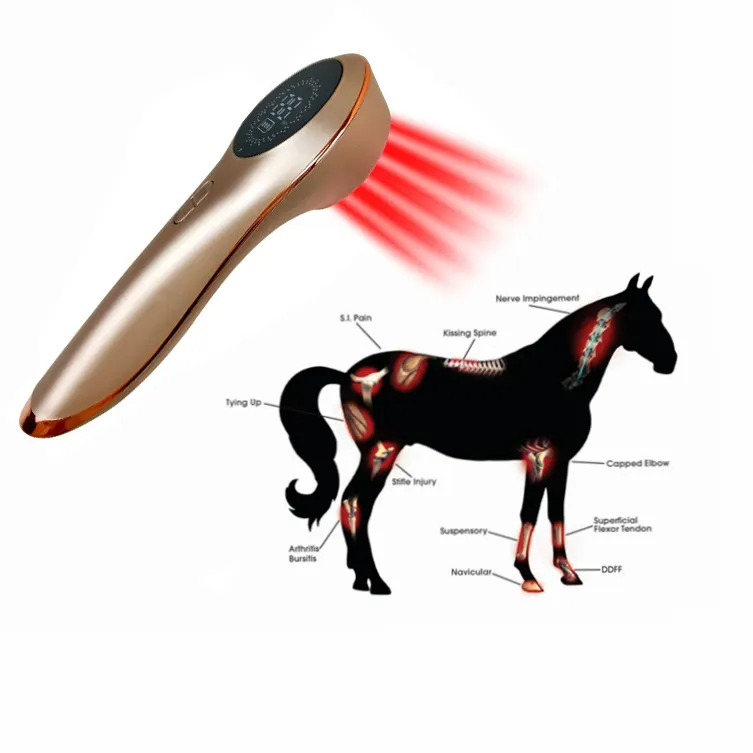 Klinik veteriner ekipmanları köpekler atlar düşük seviye soğuk lazer tedavisi ağrı kesici hayvan yara ülser tedavi sağlık cihazı