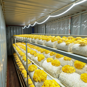 Système de culture écoénergétique à climatisation de qualité, ferme de champignons en conteneurs intérieurs pour une production toute l'année - Product Image 4