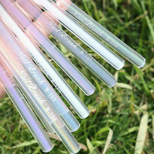 Clear Plastic Handle Nail Art Brushes Fine Nylon Liner Flower Petal Daisy Drawing Ombre Fan Blending Oval Flat Gel Brush <b>Set</b> - Product Image 2