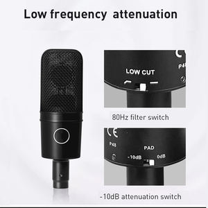 Micrófono Profesional de Diafragma Grande AT4040 con Filtro de Bajos y Interruptor PAD - Ideal para <span class=keywords><strong>Podcast</strong></span> y Grabación - Product Image 6