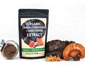 Muestra gratis Extracto de hierbas Chaga Cordyceps Extracto de Ganoderma 30% Beta Glucan Alpha Glucan Boost Immunity - Product Image 6