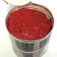 Sauce chinoise Double concentré alimentaire sans additifs délicieux pâte de tomate en conserve facile à ouvrir