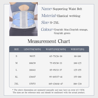 Ceinture de Soutien Lombaire Ajustable en Gros à Double Pression avec Supports Souples pour la Gym, le Fitness Quotidien, Hommes et Femmes