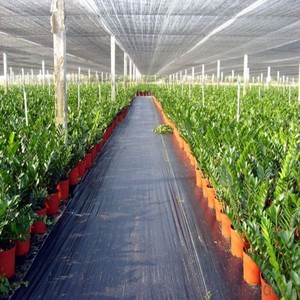 <span class=keywords><strong>Géotextile</strong></span> noir pour jardin, barrière anti-herbe et tissu de contrôle des adventices, tapis anti-UV pour parterres de fleurs - Product Image 4