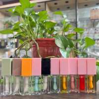 Huile à Lèvres Repulpante Très Demandée avec Grand Applicateur, Transparente, à Base de Plantes, Sans Logo, Parfum Personnalisé, Gloss Repulpant