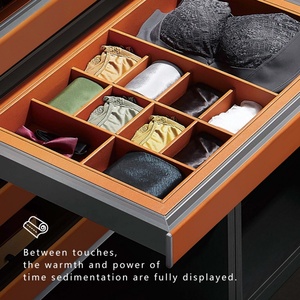 TIANYI Pull Out Aluminum Alloy Bedroom Underwear Storage <b>Box</b> Silent <b>Wardrobe</b> Accessory with Cover - Product Image 2
