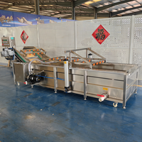 Fruitwasmachine Groentebellenwasmachine Groentewasmachine Citroenwasmachine Machine Fruit- en groentewasmachine