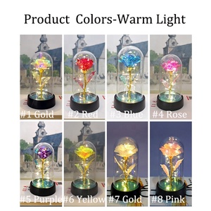 Sevgililer Günü Hediyesi <span class=keywords><strong>2026</strong></span> Büyülü Altın Gül Led Işıklı 24 Ayar Akrilik Kubbe İçinde Kız Arkadaşlar İçin Dekoratif Sıcak Fırsat - Product Image 3