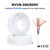 Kabel Tembaga Fleksibel Paralel PVC RVVB Berkualitas Profesional 2 Inti 0.75mm2 4.0mm2 Selubung Luar Putih 300/450v