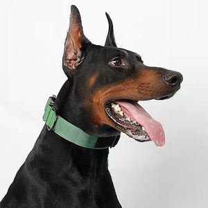 OEM ODM Tactical Combat Hunde halsband und Leine Tactical Water proof Strong Training Hoch leistungs griff Nylon Outdoor Hunde halsband - Product Image 5