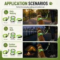 Qcool Harnais, collier et laisse pour chien en nylon LED rechargeable, ensemble de sécurité pour la promenade en extérieur, emballage de détail B2B personnalisé, fournitures pour animaux de compagnie