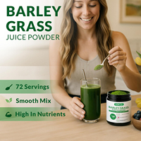 Poudre de jus d'herbe d'orge riche en chlorophylle, enrichie en nutriments et minéraux, avec vitamine C, bêta-carotène et calcium