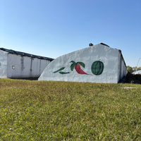 Serre agricole commerciale intelligente de grande taille à plusieurs travées, système hydroponique, bâche de couverture, largeur de baie de 4 m, galvanisation à chaud