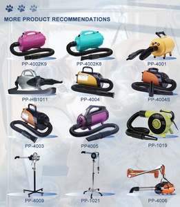 Huisdier Schoonheidswinkel Professionele Dierenverzorging Tool Hond Föhn Op Standaard - Product Image 4