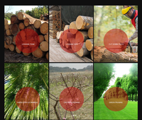Tronçonneuse à essence compacte de qualité industrielle avec poignée anti-vibration, personnalisable OEM, guide-chaîne de 12 pouces pour usage forestier et agricole