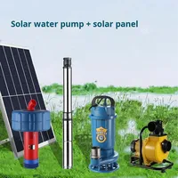Système de pompe à eau solaire 1HP 750W avec moteur 100% cuivre pour l'irrigation et l'élevage de poissons