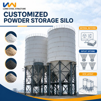 Silo en acier avec dépoussiéreur pour le stockage de cendres volantes et de poudres de ciment, avec configuration de pression sécurisée et contrôle de la poussière