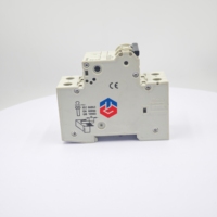 Disjoncteur Siemens 5SJ62 MCB C25 100% neuf