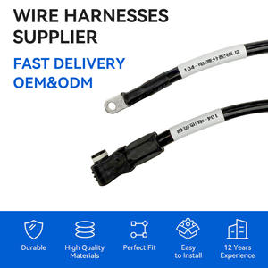 맞춤형 신에너지 자동차 배터리 케이블 전원 분배 보드 하네스(방수 커넥터 포함) 중국 제조업체 - Product Image 2