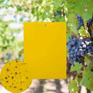 Pas cher Vente en gros Piège à colle jaune collant pour insectes volants Pièges à colle jetables Pièges à mouches à fruits naturels Pièges à insectes collants jaunes - Product Image 6