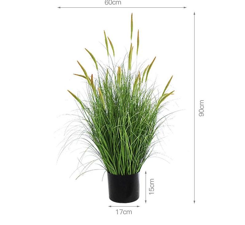 Plante en pot de roseau Daylily de 90 cm