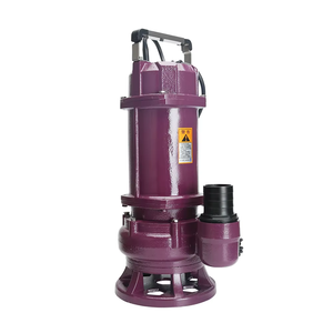 Pompe à eau submersible pour puits profond en acier inoxydable de haute qualité, 220 V, 1,1 kW, 1,5 CV, pompes submersibles pour eaux usées - Product Image 1