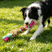 Jouet en peluche personnalisé en fourrure d'animal véritable (lapin/chien) de haute qualité pour chien, jouet interactif d'extérieur à tirer et à mâcher, en gros