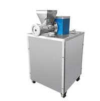 Machine à pâtes sans gluten pour pâtes de taille soupe et rotelle, avec capacité stable pour l'utilisation en usine alimentaire