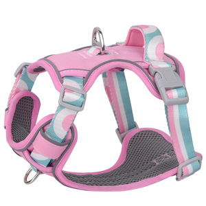Lüks High End kişiselleştirilmiş özel tasarımcı logosu taktik hiçbir çekme ayarlanabilir pamuk moda kürk büyük küçük yastıklı köpek koşum - Product Image 2