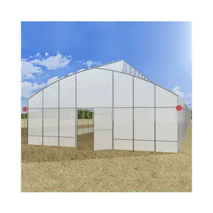 plastic film HIGH TUNNELS Saw tooth greenhouse for good ventilation Resistant To Snow Industrial greenhouse farming