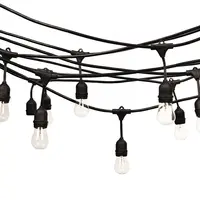 Outdoor Edison Lamp Snaar Licht E26 E27 S14 Led Lamp Inbegrepen Kerst Bruiloft Waterdichte Aansluitbaar Led Lamp