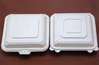Boîte à repas une pièce jetable en amidon de maïs Boîte à lunch biodégradable à emporter de qualité alimentaire à 3 compartiments Vaisselle blanche de 9 pouces