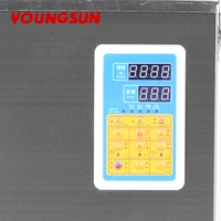 Machine de remplissage automatique verticale YOUNGSUN F-5000 pour granulés secs, noix, céréales, poudres, haricots et café – Prix usine