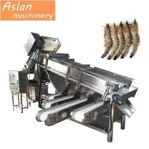 Automatic Shrimp Grading Sorting Machine/Prawn Processing Equipment/Vannamei Shrimp Cleaning Grader