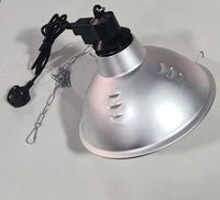 Lampe chauffante pour poussins, chauffage avicole à économie d'énergie, équipement de chauffage professionnel pour poulailler