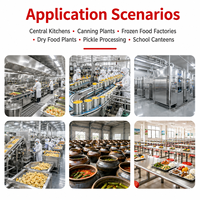 Machine à éplucher les pommes de terre et l'ail électrique commerciale, machine à éplucher les pommes de terre et l'ail, éplucheur de peau d'ail pour la transformation alimentaire