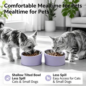 Gamelle inclinée en acier inoxydable pour animaux de compagnie, bol d'alimentation en mélamine pour chiens et chats, gamelle personnalisable pour nourriture et eau - Product Image 3