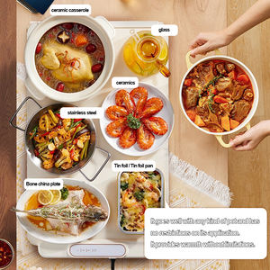 Raybin 2025 Nueva Bandeja Calentadora de Alimentos Plegable y Portátil de 60*40cm con Temporizador de 1-4 Horas, Tapete de Silicona para Alimentos - Product Image 4